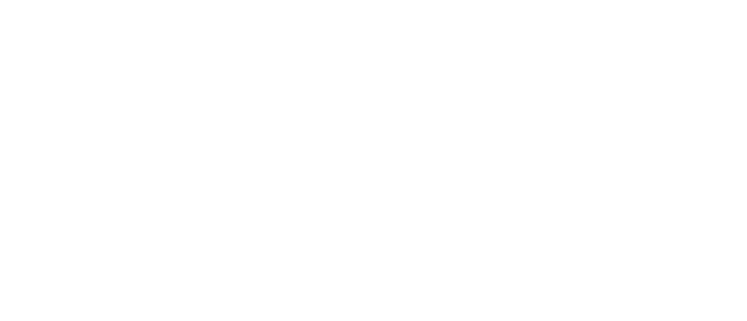 Allpanelexch version 2 Logo