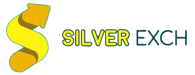 silverbhai version 2 Logo